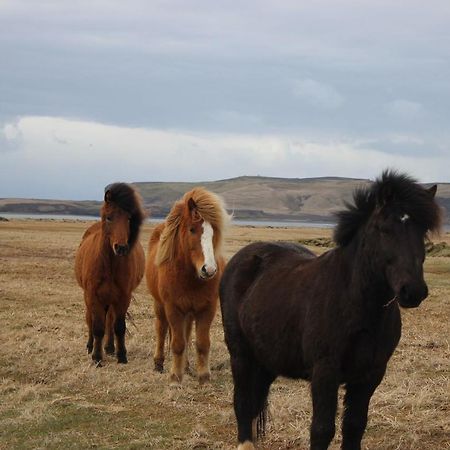 Prestshús 2 Guesthouse Vík Eksteriør billede