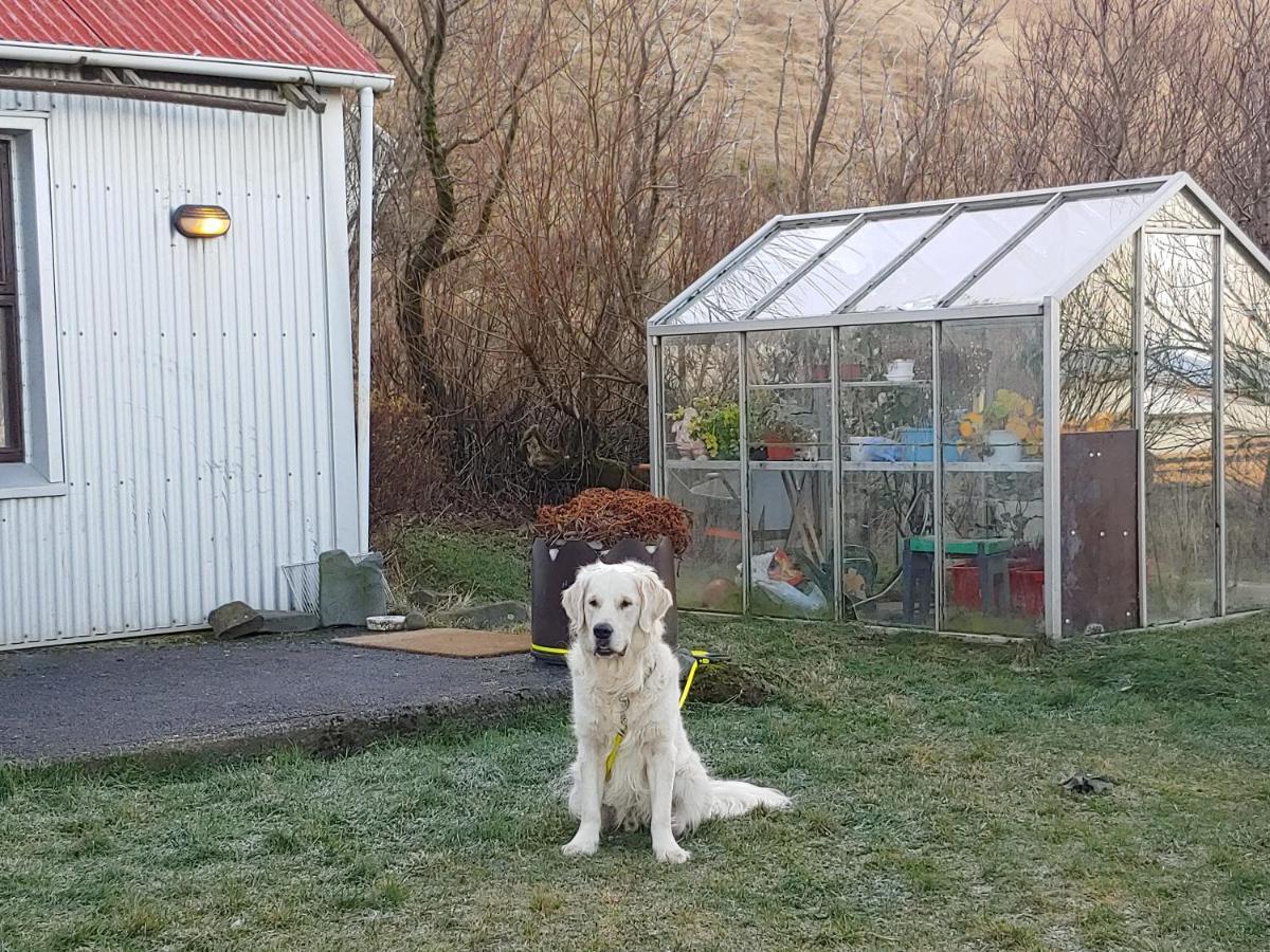 Prestshús 2 Guesthouse Vík Eksteriør billede