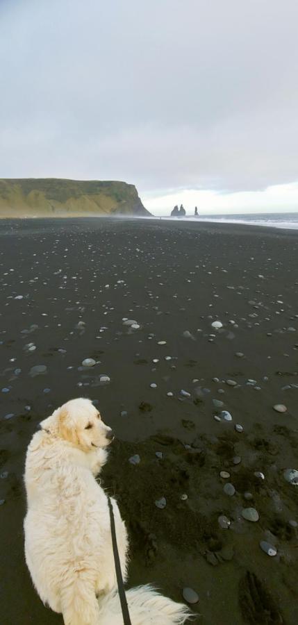 Prestshús 2 Guesthouse Vík Eksteriør billede