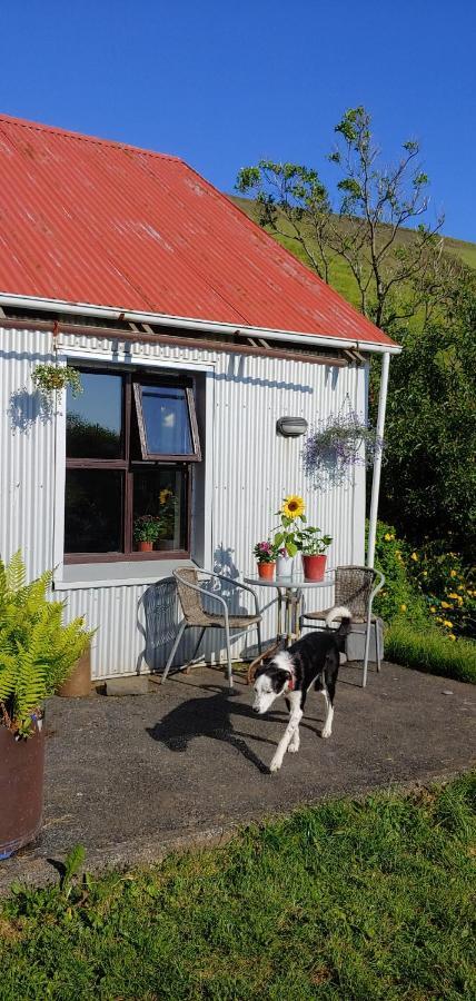 Prestshús 2 Guesthouse Vík Eksteriør billede