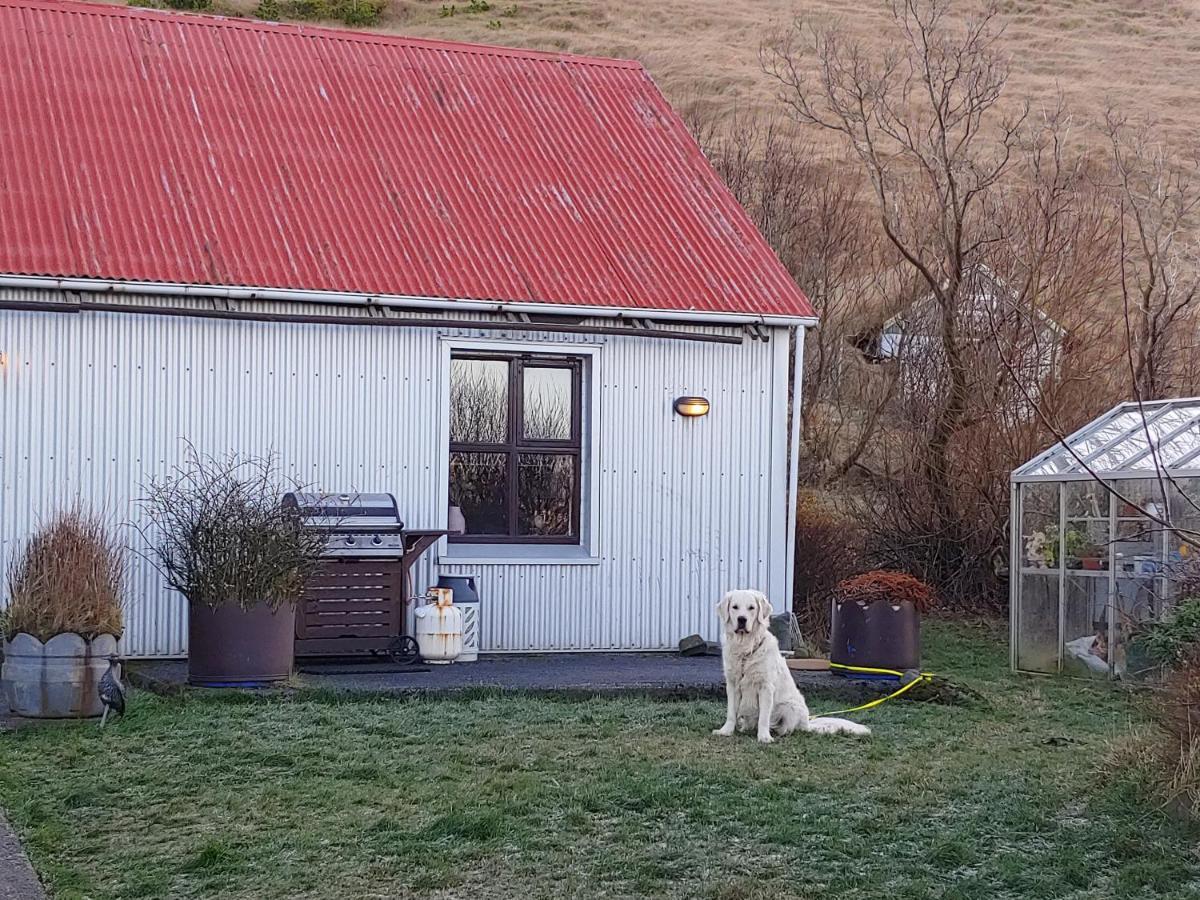 Prestshús 2 Guesthouse Vík Eksteriør billede