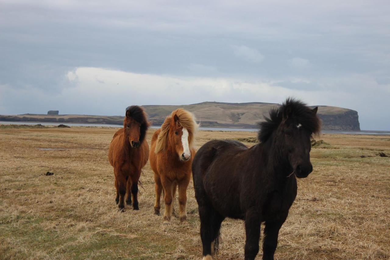 Prestshús 2 Guesthouse Vík Eksteriør billede